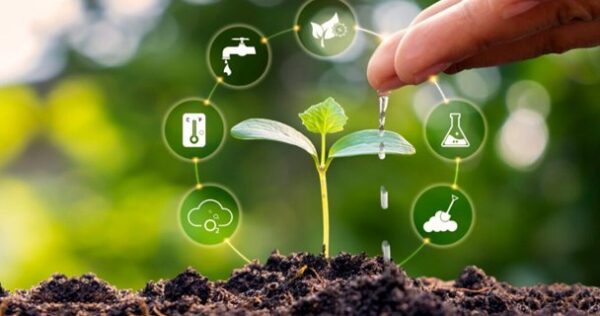 imagem-impacto-ambiental-do-desentupimento-01